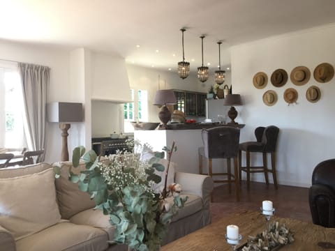 Open  bar between kitchen and living room