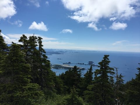 A view from Harbor Mountain during the summer
