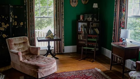 TV, fireplace, books