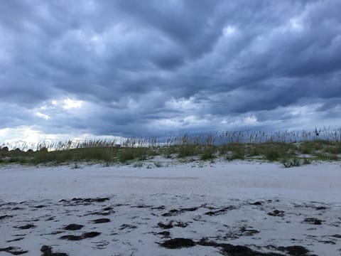 On the beach