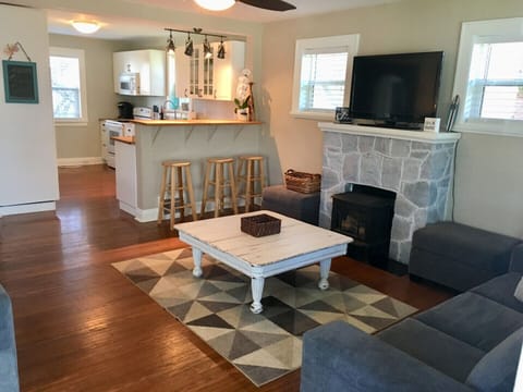 TV, fireplace, books