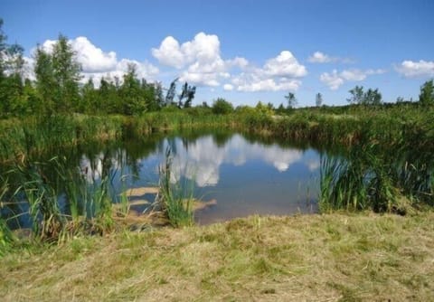 One of the Escarpment Ponds on the western edge of our private nature/wildlife reserve.