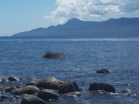 Beach nearby, sun loungers, beach towels