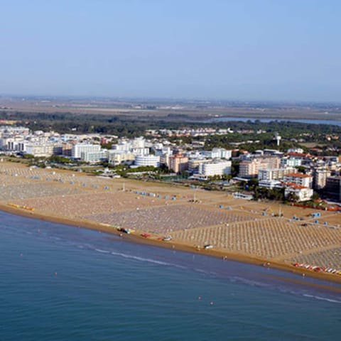 Beach umbrellas