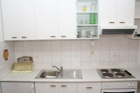 Fridge, stovetop, cookware/dishes/utensils