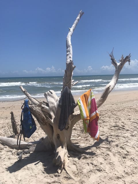 Beach nearby, sun loungers, beach towels