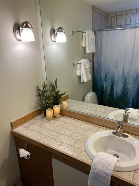 Combined shower/tub, jetted tub, hair dryer, towels