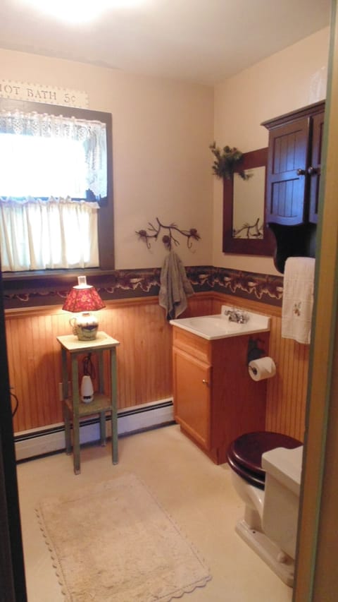 Combined shower/tub, jetted tub, hair dryer, towels