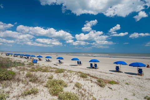 Sun loungers, beach umbrellas, beach towels