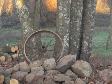 Lost Valley View Cabin House in Buffalo River