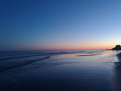 On the beach