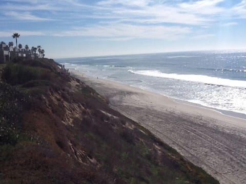 From view steps looking south