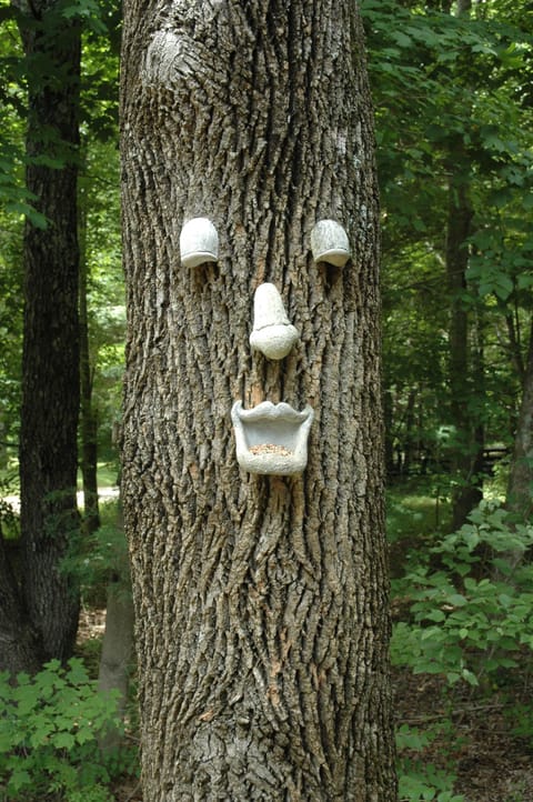 Happy tree! Be sure to feed the birds!