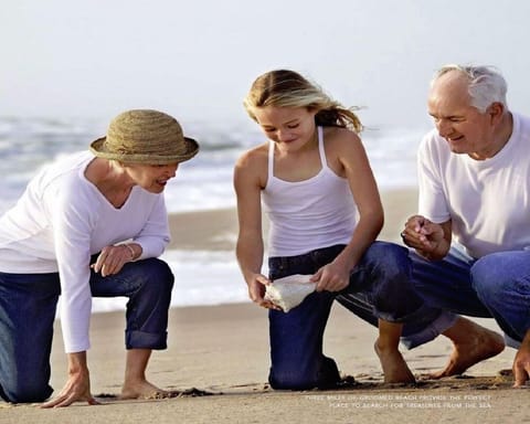 On the beach