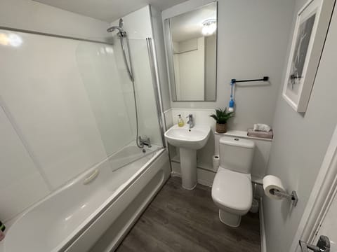 Combined shower/tub, hair dryer, towels, toilet paper