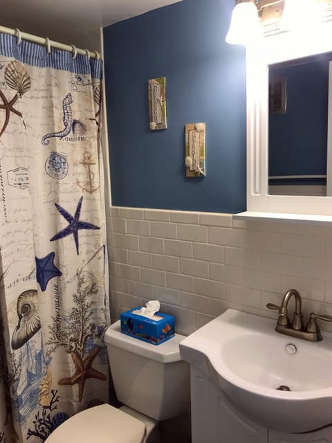 Combined shower/tub, hair dryer, towels, soap