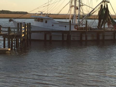 Walk down to the water to see shrimp boats