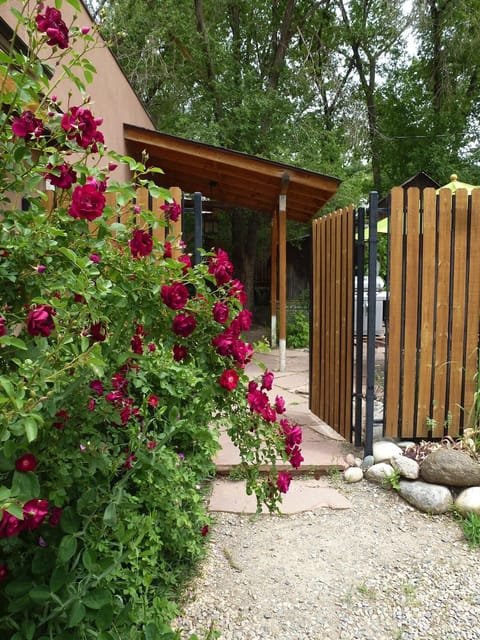 Entrance from Driveway.