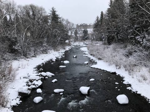 The Beautiful Eagle River Runs Right Behind our Property. Winter Wonderland!