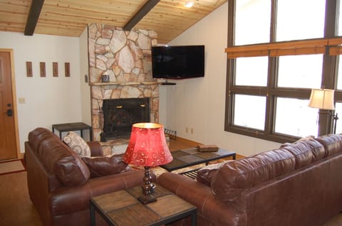 Living area with 42" flat screen TV, stone fireplace.