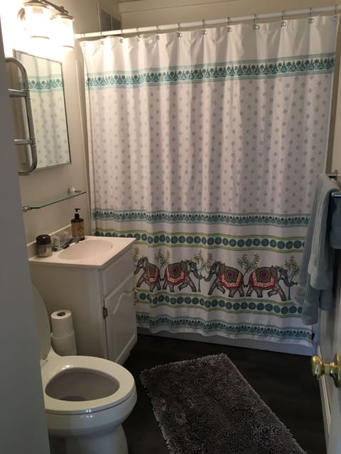 Combined shower/tub, hair dryer, soap