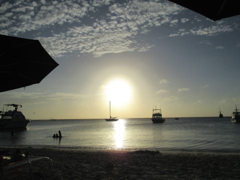 Sun loungers, beach umbrellas, beach towels