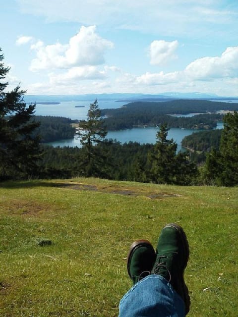 View from the top of Mt Young