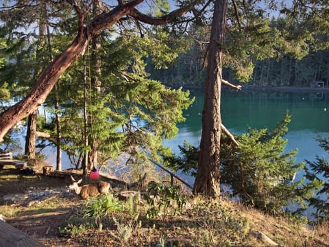 Fire pit area. *Fire pits are not usable from May through September due to seasonal county burn ban.