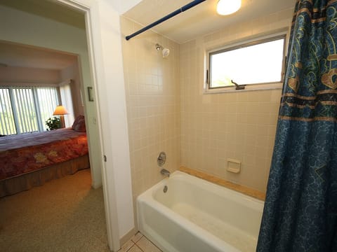 Combined shower/tub, hair dryer, towels