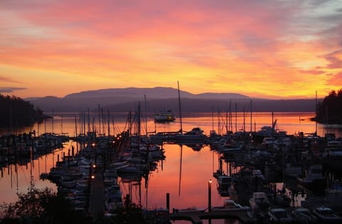 Port of Friday Harbor at sunset