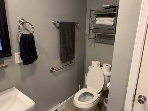 Shower, hair dryer, towels, toilet paper