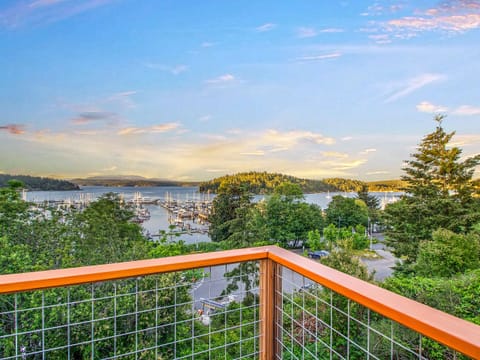 Harbor views from the deck