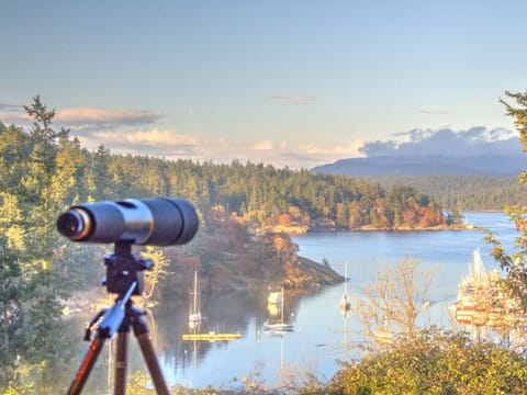 Enjoy a view of the Port of Friday Harbor from the living room!

Please Note, Marina Lookout has a minimum booking/stay requirement of 1 calendar month (27-30 nights depending on monthly calendar). Partial months are only available during the current month if the month has not been rented.
