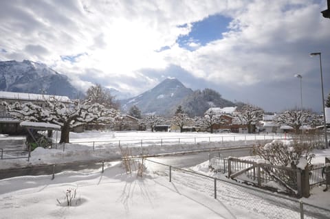 View from the front of the house