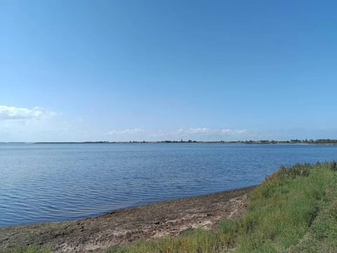 Region [summer] (>5 km)