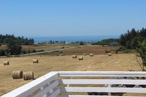 this photo is zoomed back. I need to add a new photo! 