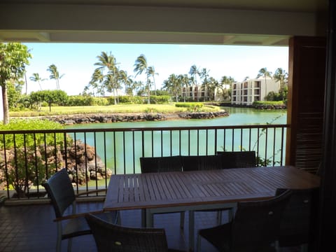 View from Main Lanai and outside dining area