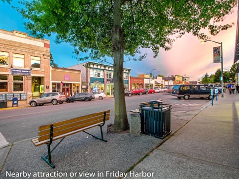 Downtown Friday Harbor