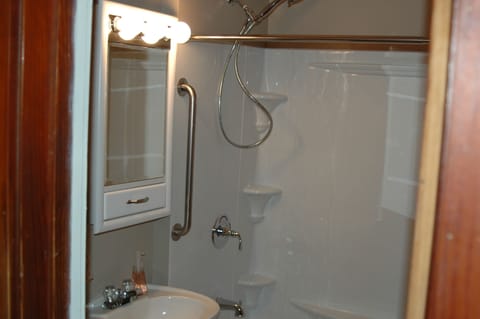 Combined shower/tub, hair dryer, towels