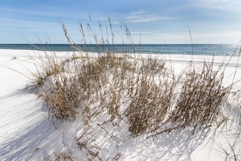 On the beach