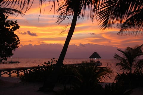 On the beach, sun loungers, beach towels