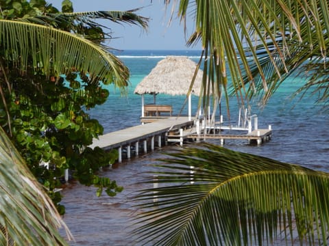 On the beach, sun loungers, beach towels