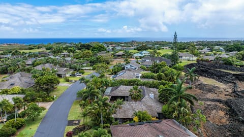 Neighborhood aerial ocean view