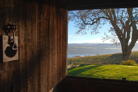 View out of steading door.