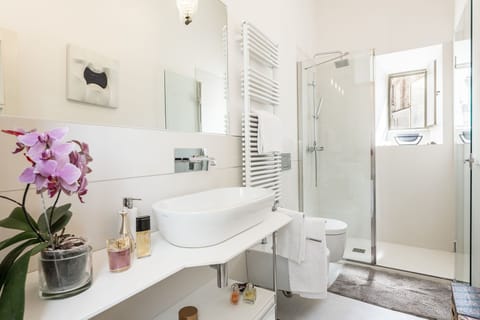 Combined shower/tub, hair dryer, bidet, towels