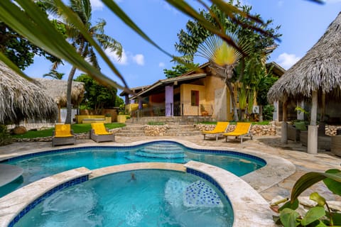 Stunning Tropical pool and hot tub