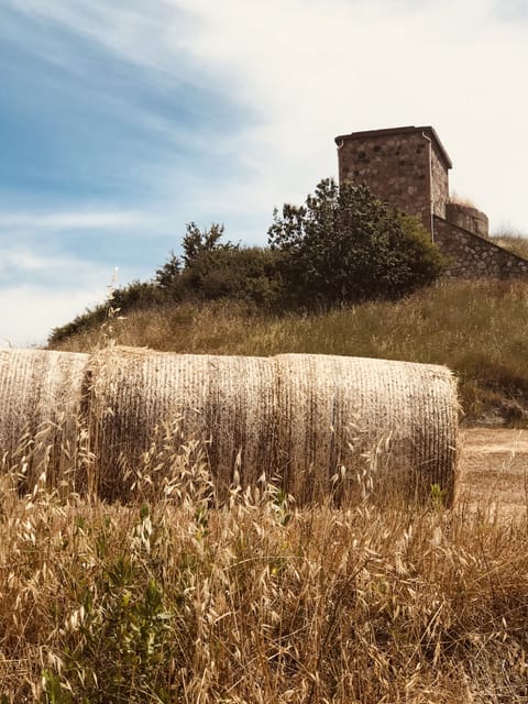 Bales on the hillside.  Bello!