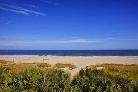 Beach | On the beach