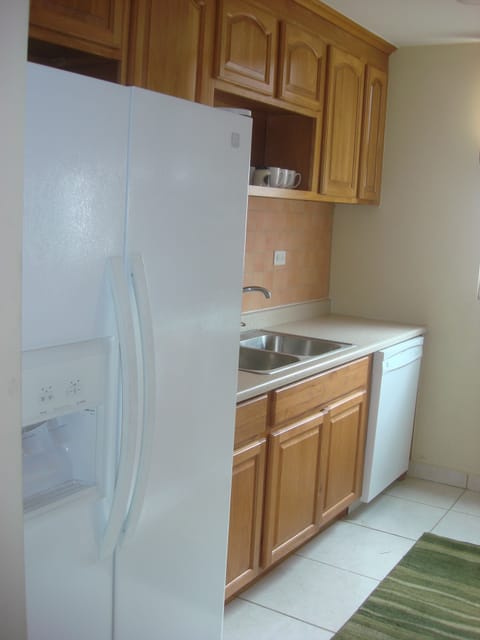 Fully equipped galley kitchen w dishwasher & refrigerator w water & icemaker