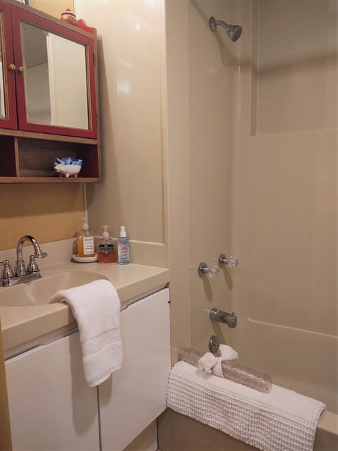 Combined shower/tub, hair dryer, towels, soap